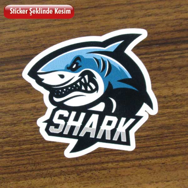 Shark Etiket 8x8 cm
